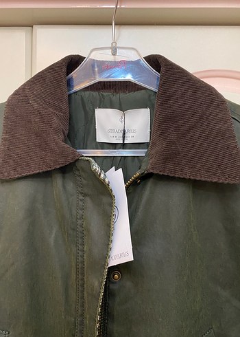 Etiketli Stradivairus - Görsel 3