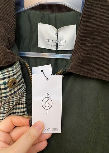 Etiketli Stradivairus - Görsel 2