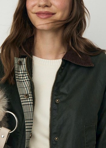 Etiketli Stradivairus - Görsel 9