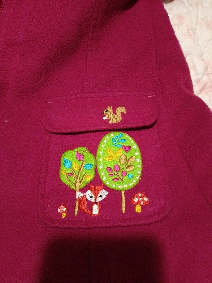 LC Waikiki çocuk mont 2-3 yaş - Görsel 5