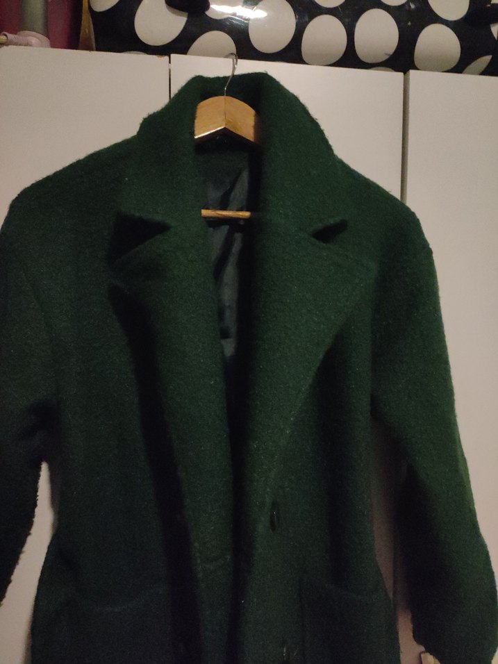 Uzun Yeşil Kaban - Görsel 3