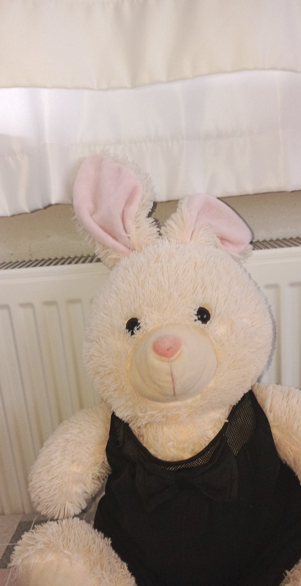 Siyah Elbiseli Beyaz Peluş Tavşan - Görsel 3