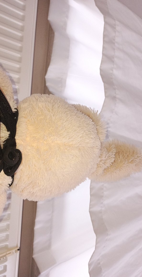 Siyah Elbiseli Beyaz Peluş Tavşan - Görsel 5