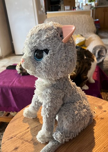 Gri Peluş Kedi Oyuncak fuar real kedi - Görsel 3