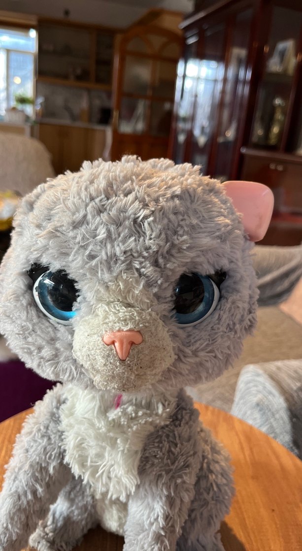 Gri Peluş Kedi Oyuncak fuar real kedi - Görsel 2