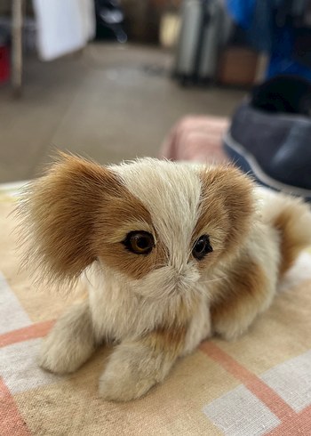 Kahverengi Peluş Oyuncak Köpek - Görsel 2