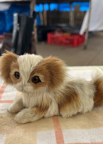 Kahverengi Peluş Oyuncak Köpek - Görsel 3