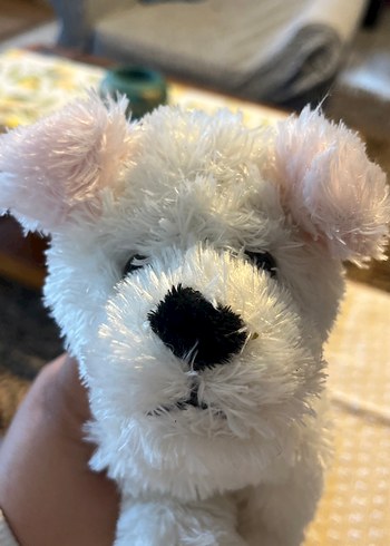 Beyaz Yumuşak Peluş Oyuncak Köpek - Görsel 4