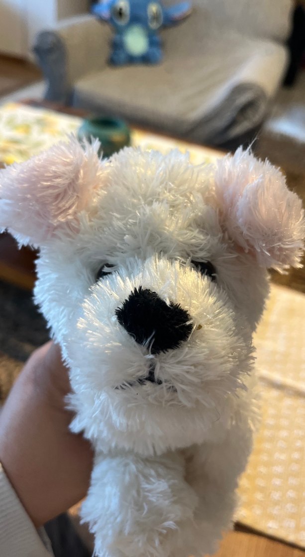 Beyaz Yumuşak Peluş Oyuncak Köpek - Görsel 4