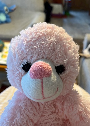 Pastel Pembe Peluş Oyuncak Ayıcık - Görsel 3