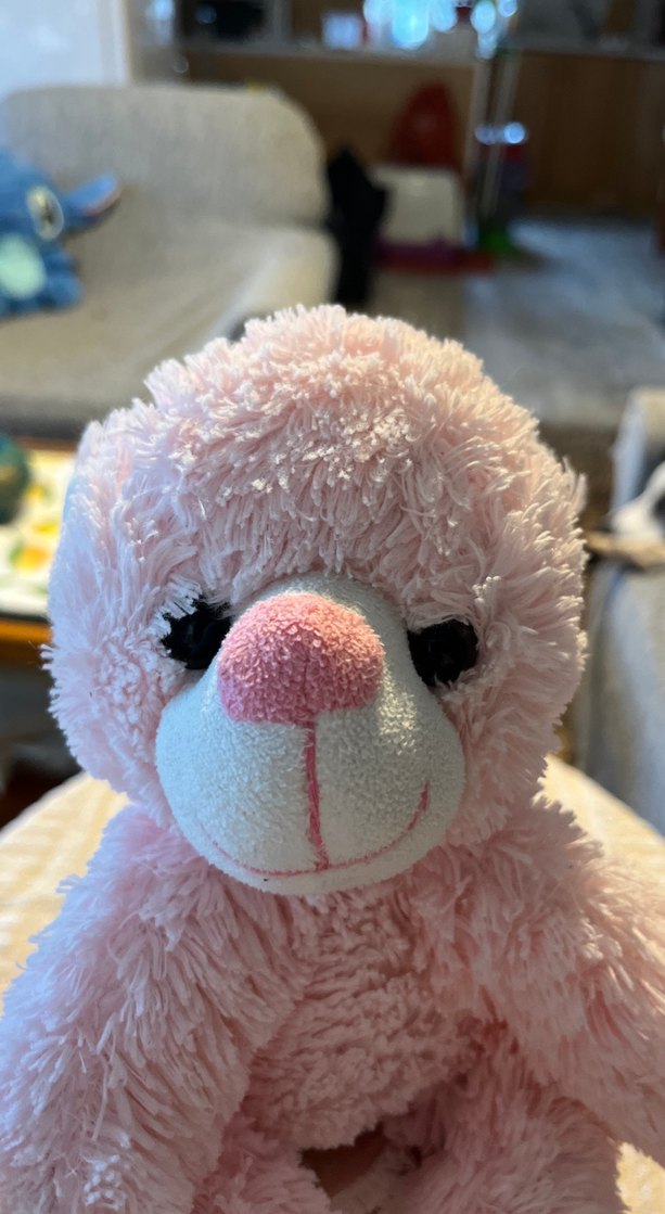 Pastel Pembe Peluş Oyuncak Ayıcık - Görsel 3