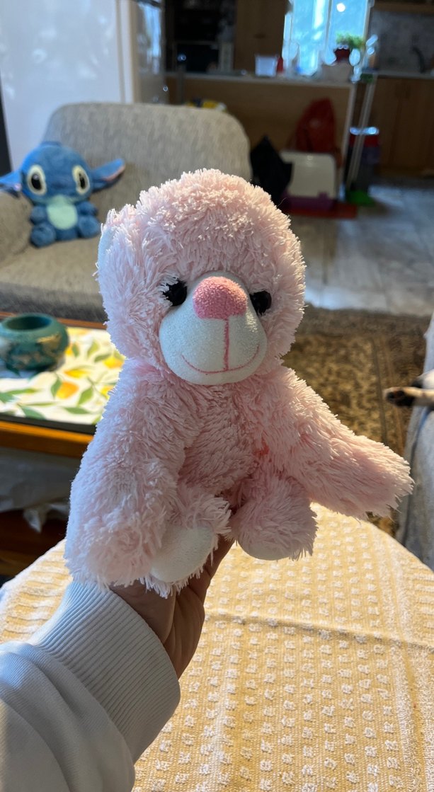 Pastel Pembe Peluş Oyuncak Ayıcık - Görsel 4