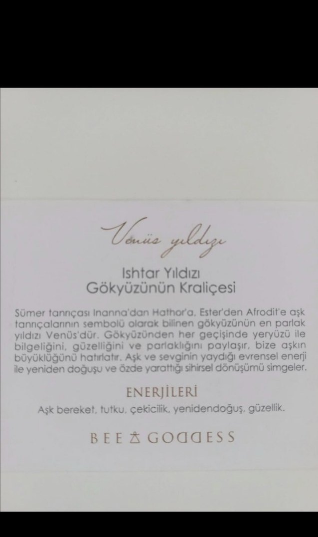 Bee Goddess 14 Ayar Altın Zincir Detaylı Bileklik - Görsel 3