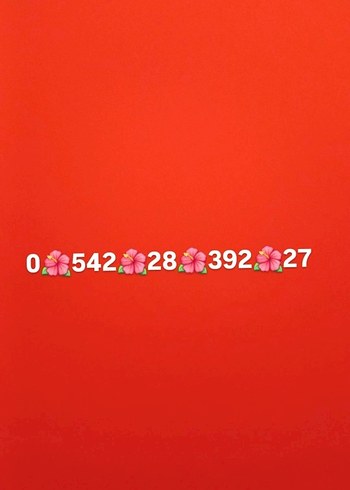 Medine ipeği acı kahve 2 katlı sufle takım - Görsel 3