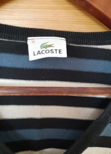 s Beden Lacoste mevsimlik kazak