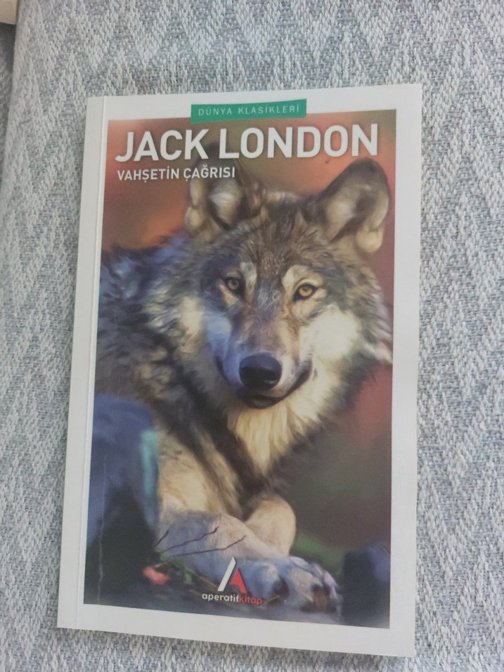 JACK LONDON DÜNYA KLASİKLERİ SETİ  9 KİTAP   TAM KOLEKSİYON - Görsel 5