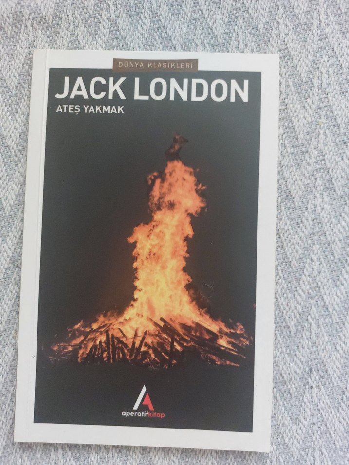 JACK LONDON DÜNYA KLASİKLERİ SETİ  9 KİTAP   TAM KOLEKSİYON - Görsel 3