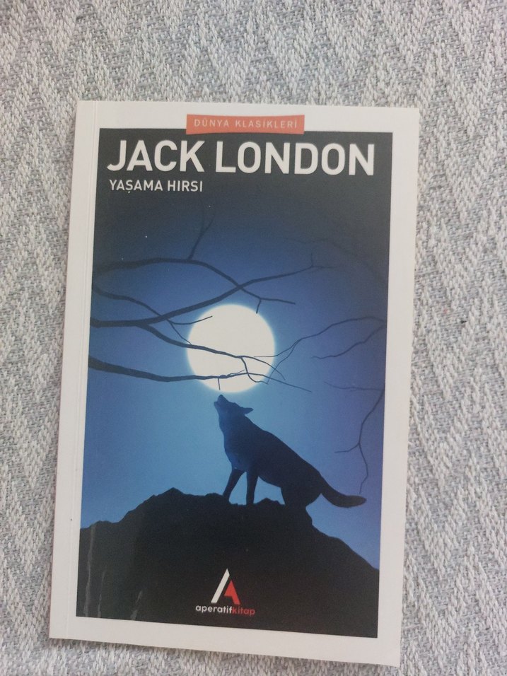 JACK LONDON DÜNYA KLASİKLERİ SETİ  9 KİTAP   TAM KOLEKSİYON - Görsel 4