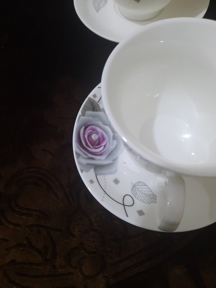 Beyaz Gri Gül Desenli Porselen Fincan Takımı - Görsel 2