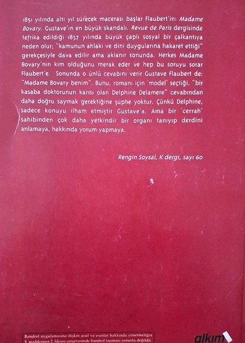 Madam Bovary Romanı - Gustave Flaubert - Görsel 2