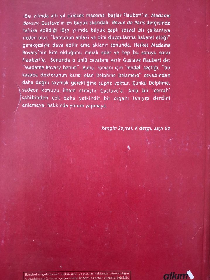 Madam Bovary Romanı - Gustave Flaubert - Görsel 2