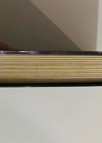 Orion - Almina Taner Kitap Wattlad - Görsel 4