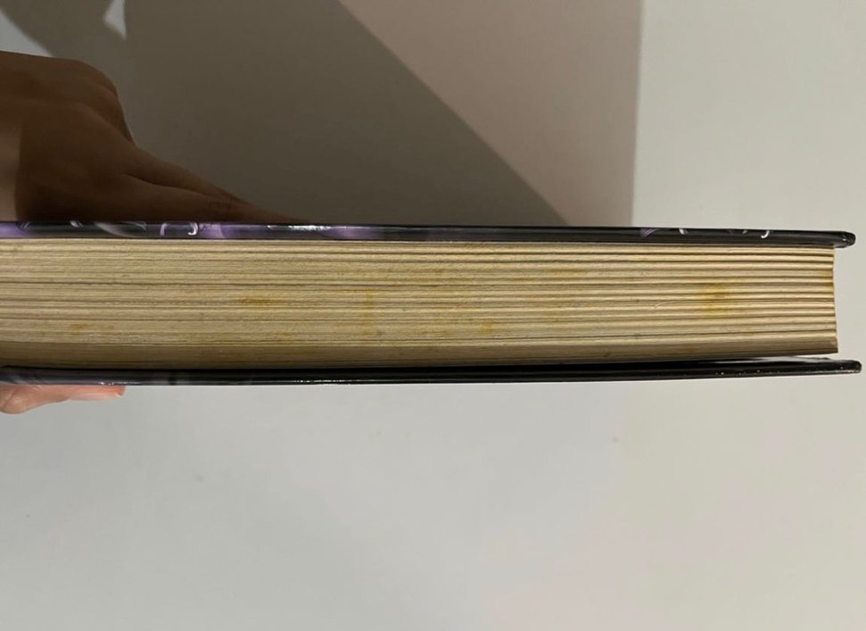 Orion - Almina Taner Kitap Wattlad - Görsel 4