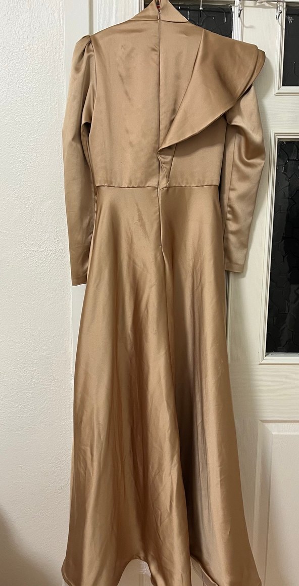 Bej Uzun Kollu Kadın Abiye - Görsel 2