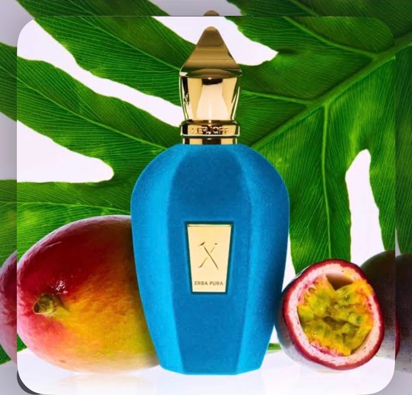 Xerjoff Erba Pura Kadın Parfümü - Görsel 4