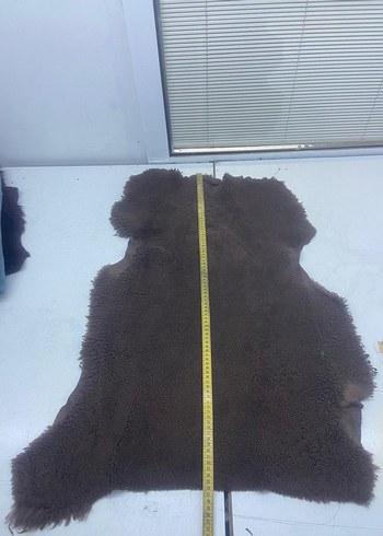 Hakiki kuzu derisi - Görsel 3