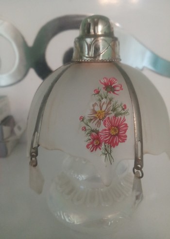 Yaşlı OpalinBeyrut Kokuluk - Görsel 7