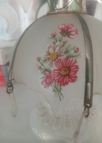 Yaşlı OpalinBeyrut Kokuluk - Görsel 2