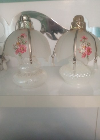 Yaşlı OpalinBeyrut Kokuluk - Görsel 3