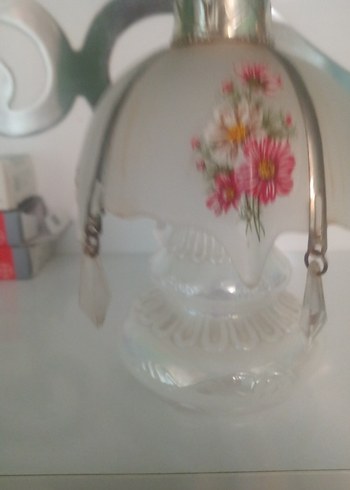 Yaşlı OpalinBeyrut Kokuluk - Görsel 5