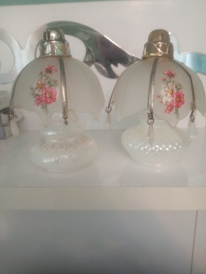 Yaşlı OpalinBeyrut Kokuluk - Görsel 3