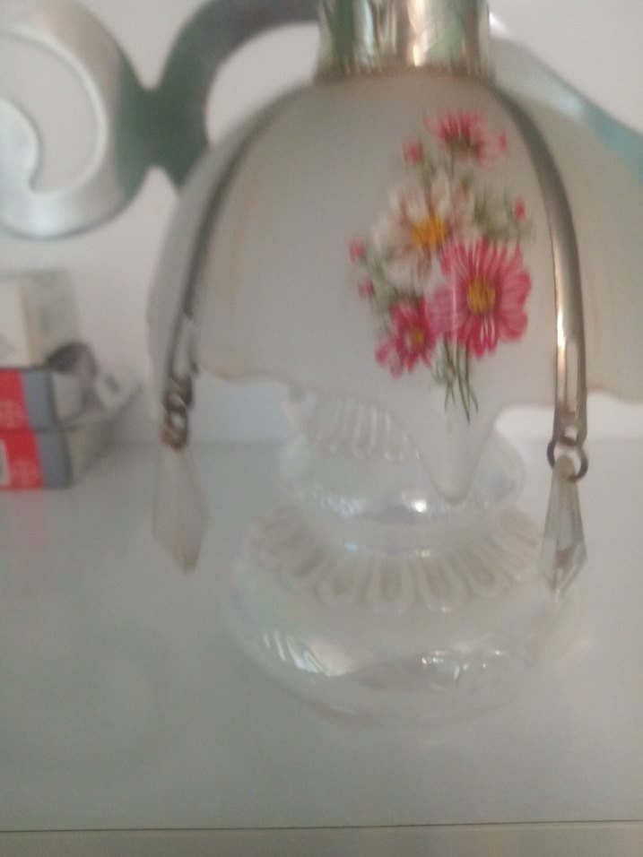 Yaşlı OpalinBeyrut Kokuluk - Görsel 5