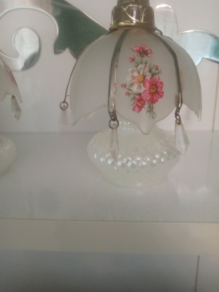 Yaşlı OpalinBeyrut Kokuluk - Görsel 4