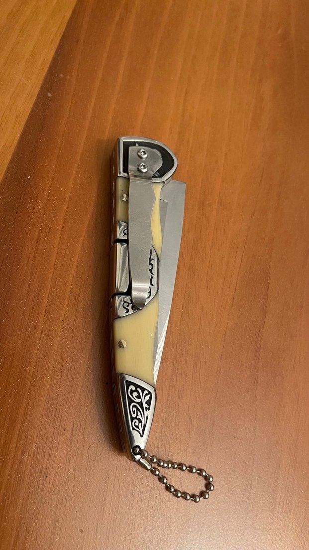 Bej Parlak Katlanabilir Cep Bıçağı MTECH - Görsel 2