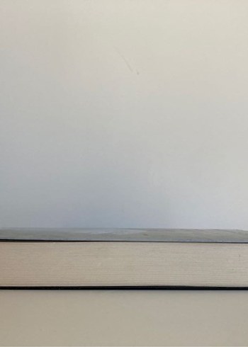 Sisteki Kız - Donato Carrisi - Görsel 2