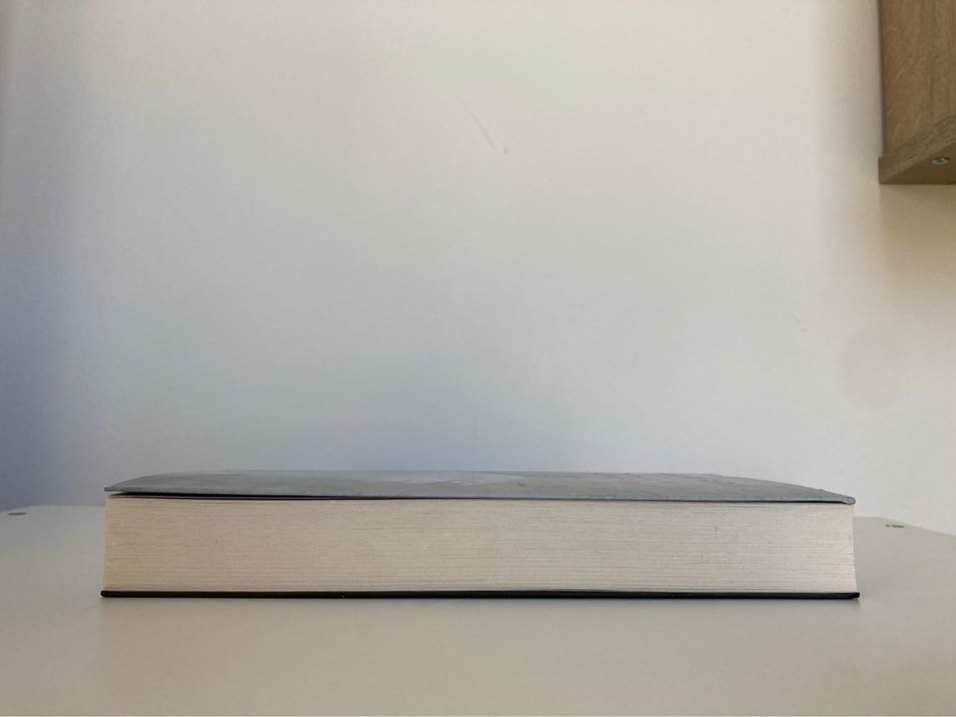 Sisteki Kız - Donato Carrisi - Görsel 2