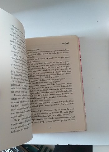 İpek Ongun - Bir Genç Kızın Gizli Defteri - Görsel 3