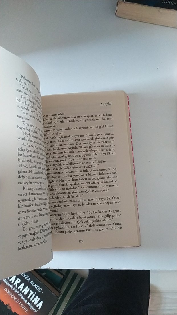 İpek Ongun - Bir Genç Kızın Gizli Defteri - Görsel 3