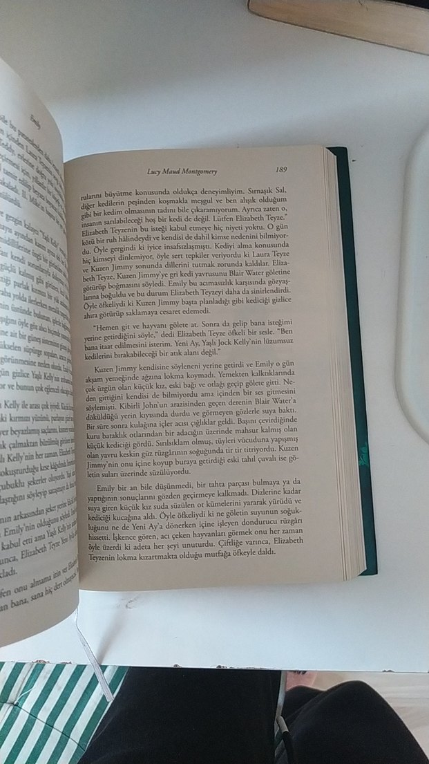 Emily - L. M. Montgomery - Görsel 3