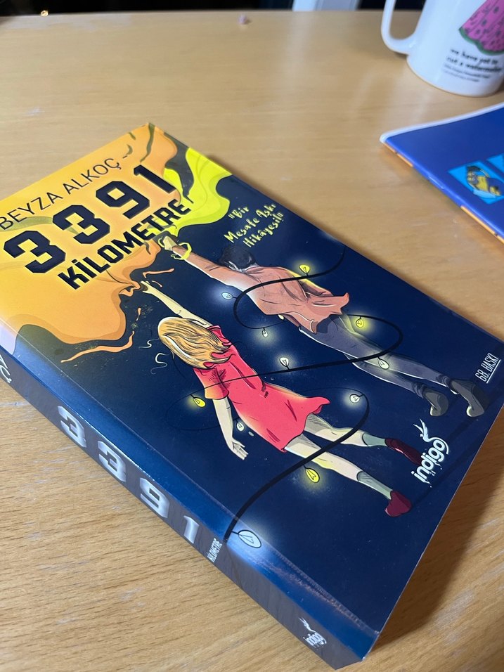 3391 Kilometre - Beyza Alkoç Roman - Görsel 2