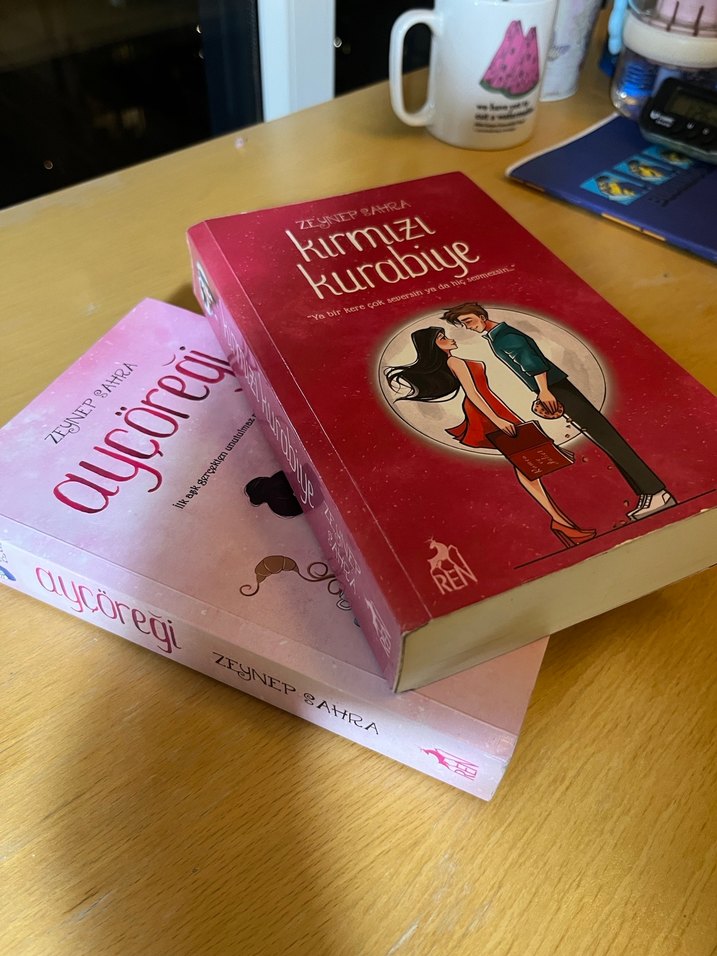 Kırmızı Kurabiye ve Ay Çöreği Romanları - Görsel 2