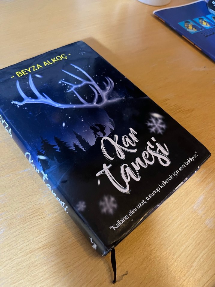 Kar Tanesi - Beyza Alkoç - Görsel 2