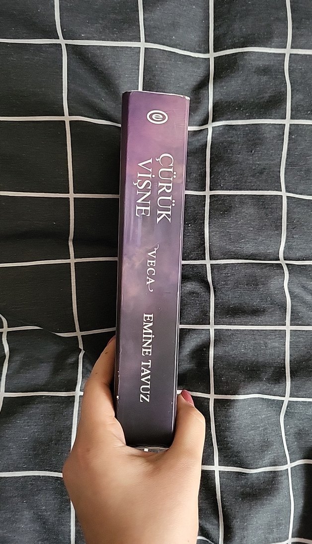 Çürük Vişne 1 - Emine Tavuz - Görsel 2