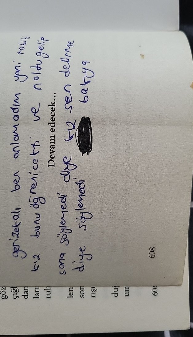 Çürük Vişne 1 - Emine Tavuz - Görsel 5