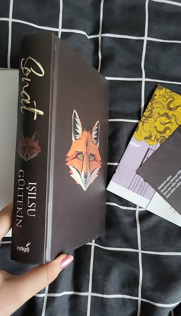 Sonat - Işılsu Gültekin - Görsel 4