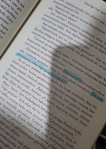 Asi Çakıltaşı 1 - Binnur Şafak - Görsel 6